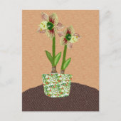 Amaryllis-Briefkaart Briefkaart (Voorkant)