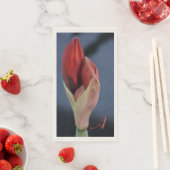 Amaryllis Bud Elegant Floral Slate Blue Servet (Insitu)