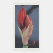 Amaryllis Bud Elegant Floral Slate Blue Servet (Voorkant)