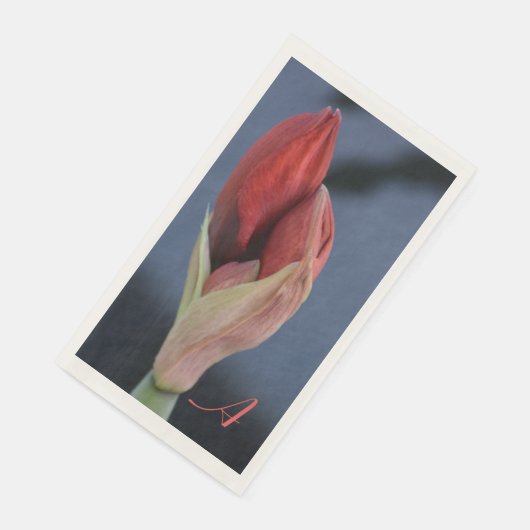 Amaryllis Bud Elegant Floral Slate Blue Servet (Hoek)