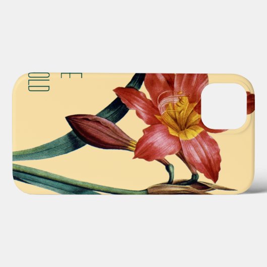 Amaryllis Case-Mate iPhone Case (Achterkant (horizontaal))