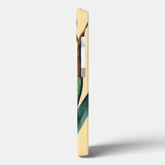 Amaryllis Case-Mate iPhone Case (Achterkant / Links)