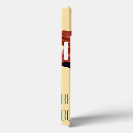 Amaryllis Case-Mate iPhone Case (Achterkant / Rechts)