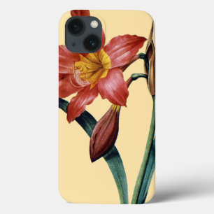 Amaryllis Case-Mate iPhone Case