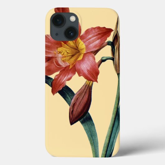 Amaryllis Case-Mate iPhone Case (Achterkant)