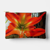 Amaryllis Close-up Accessoiretas Etui (Voorkant)