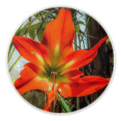 Amaryllis Close-up Keramische Trekker Knop (Voorkant)