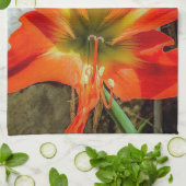 Amaryllis Close-up Keukenhanddoeken (Gevouwen)