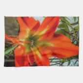 Amaryllis Close-up Keukenhanddoeken (Horizontaal)