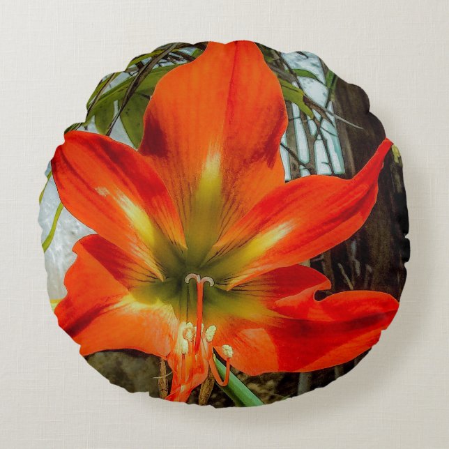 Amaryllis Close-up Ronde Kussen  (Voorkant)