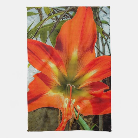 Amaryllis Closeup Kitchen Towels Theedoek (Verticaal)