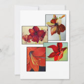 Amaryllis Collage Wenskaart (Voorkant)