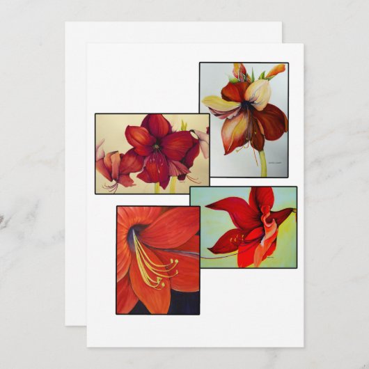 Amaryllis Collage Wenskaart (Voorkant / Achterkant)
