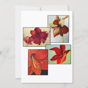 Amaryllis Collage Wenskaart