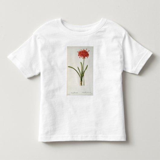 Amaryllis Curvifolia, 1809, van "Les" Kinder Shirts (Voorkant)