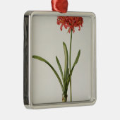 Amaryllis Curvifolia, 1809, van "Les" Metalen Ornament (Rechts)