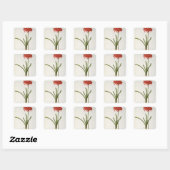 Amaryllis Curvifolia, 1809, van "Les" Vierkante Sticker (Vel)