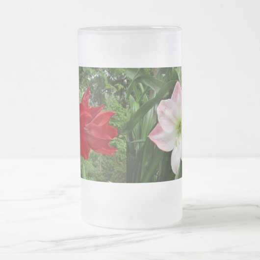 Amaryllis Dancing! Frosted Beverage Glass Matglas Bierpul (Center)