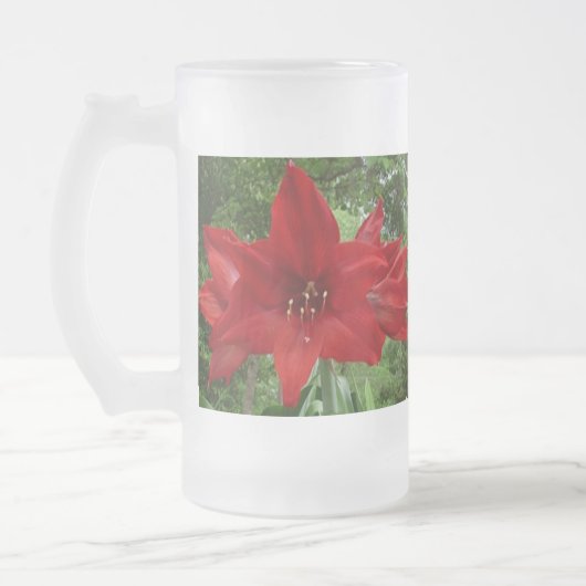 Amaryllis Dancing! Frosted Beverage Glass Matglas Bierpul (Links)