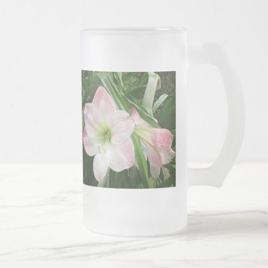 Amaryllis Dancing! Frosted Beverage Glass Matglas Bierpul (Rechts)