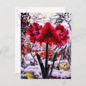 Amaryllis door het Venster van de Sneeuw Briefkaart (Voorkant / Achterkant)