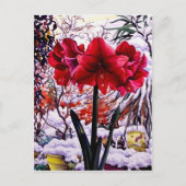 Amaryllis door het Venster van de Sneeuw Briefkaart (Voorkant)