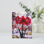 Amaryllis door het Venster van de Sneeuw Briefkaart (Staand voorkant)