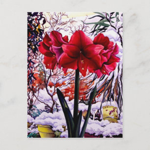 Amaryllis door het Venster van de Sneeuw Briefkaart
