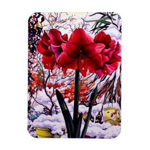 Amaryllis door sneeuwvenster magneet