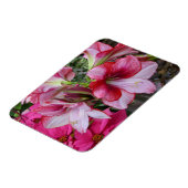 Amaryllis en Poinsettia Red Holiday Flowers Magneet (Linkerzijde)