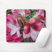 Amaryllis en Poinsettia Red Holiday Flowers Muismat (Met muis)