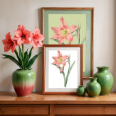 Amaryllis Equestre, Bloem Botanisch Poster