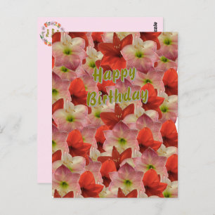 Amaryllis Floral Birthday Briefkaart