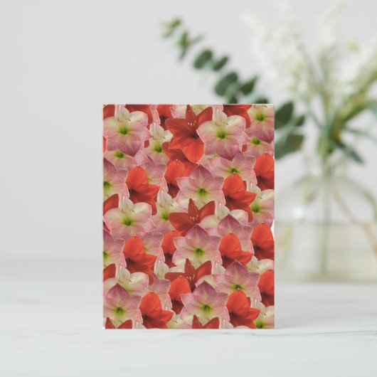 Amaryllis Floral Briefkaart (Staand voorkant)