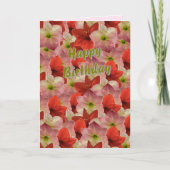 Amaryllis Floral Verjaardag Kaart (Voorkant)