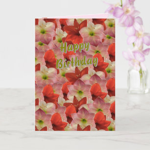 Amaryllis Floral Verjaardag Kaart