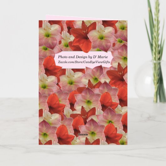 Amaryllis Floral Verjaardag Kaart (Achterkant)