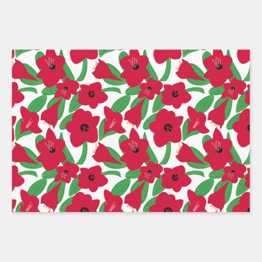 Amaryllis Flower Inpakpapier Vel (Voorkant 2)