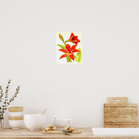  Amaryllis Flower Poster (Keuken)