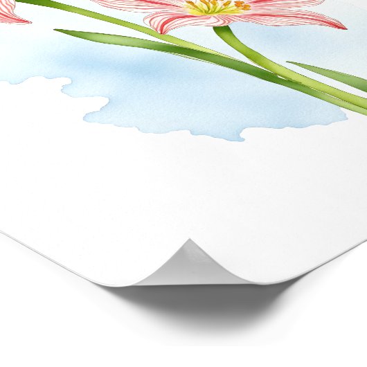 Amaryllis Flower Waterverf Poster (Hoek)