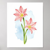 Amaryllis Flower Waterverf Poster (Voorkant)
