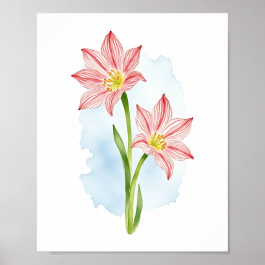 Amaryllis Flower Waterverf Poster (Voorkant)