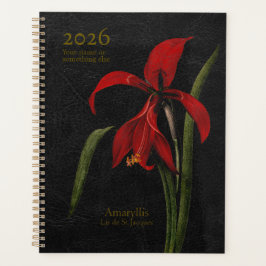 Amaryllis Grandiflora: De aankondiger van pracht Planner