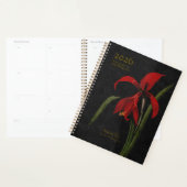 Amaryllis Grandiflora: The Herald of Splendour Planner (Display)