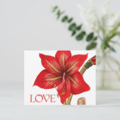 Amaryllis Holiday Briefkaart (Staand voorkant)