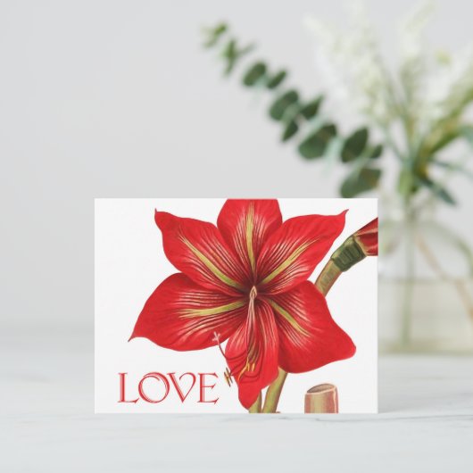 Amaryllis Holiday Briefkaart (Staand voorkant)