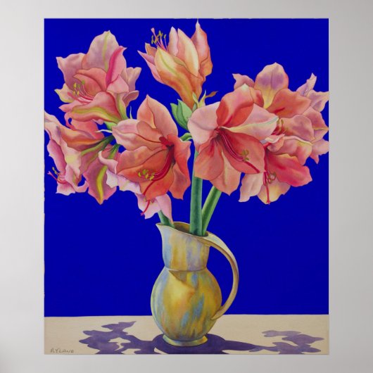 Amaryllis in een jug 2007 poster (Voorkant)