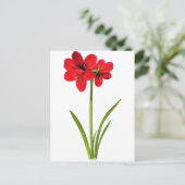 Amaryllis in rood briefkaart (Staand voorkant)