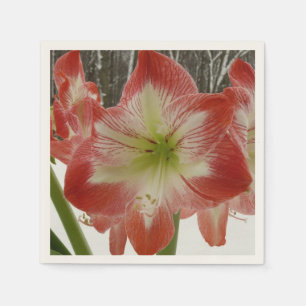 Amaryllis in Sneeuw Rode Vakantie Winter Bloemen Servetten
