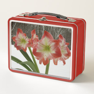 Amaryllis in Snow Red Holiday Winter Floral